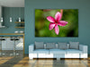 Flower Wall - AtrixU