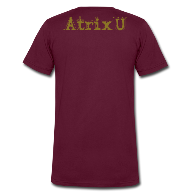 Atrix Universe Defined - maroon